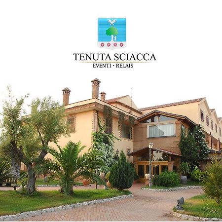 Tenuta Sciacca Villa Falciano del Massico Bagian luar foto