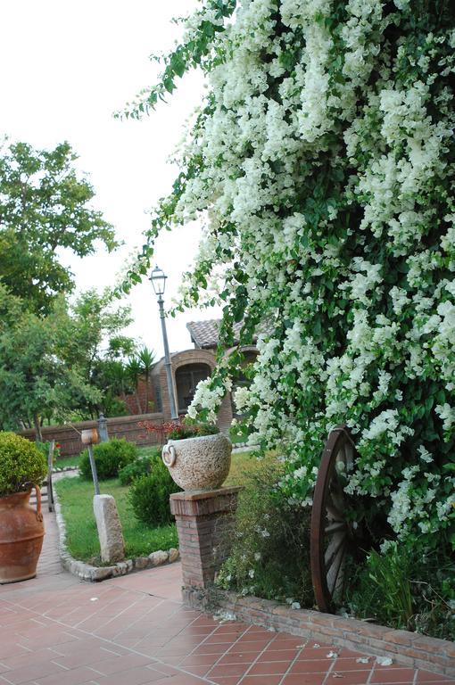 Tenuta Sciacca Villa Falciano del Massico Bagian luar foto