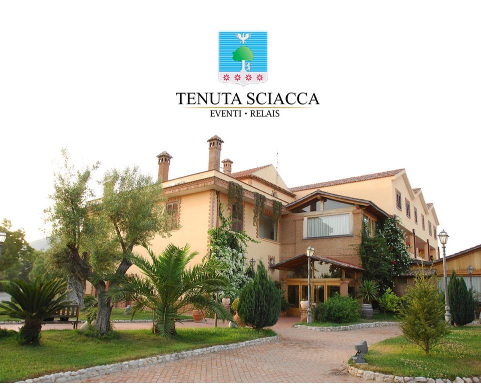 Tenuta Sciacca Villa Falciano del Massico Bagian luar foto