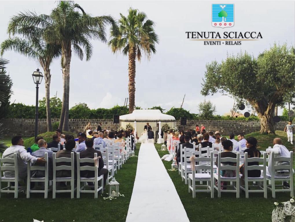 Tenuta Sciacca Villa Falciano del Massico Bagian luar foto