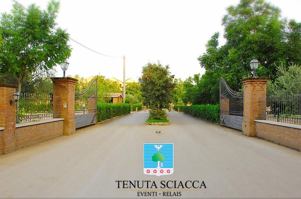 Tenuta Sciacca Villa Falciano del Massico Bagian luar foto