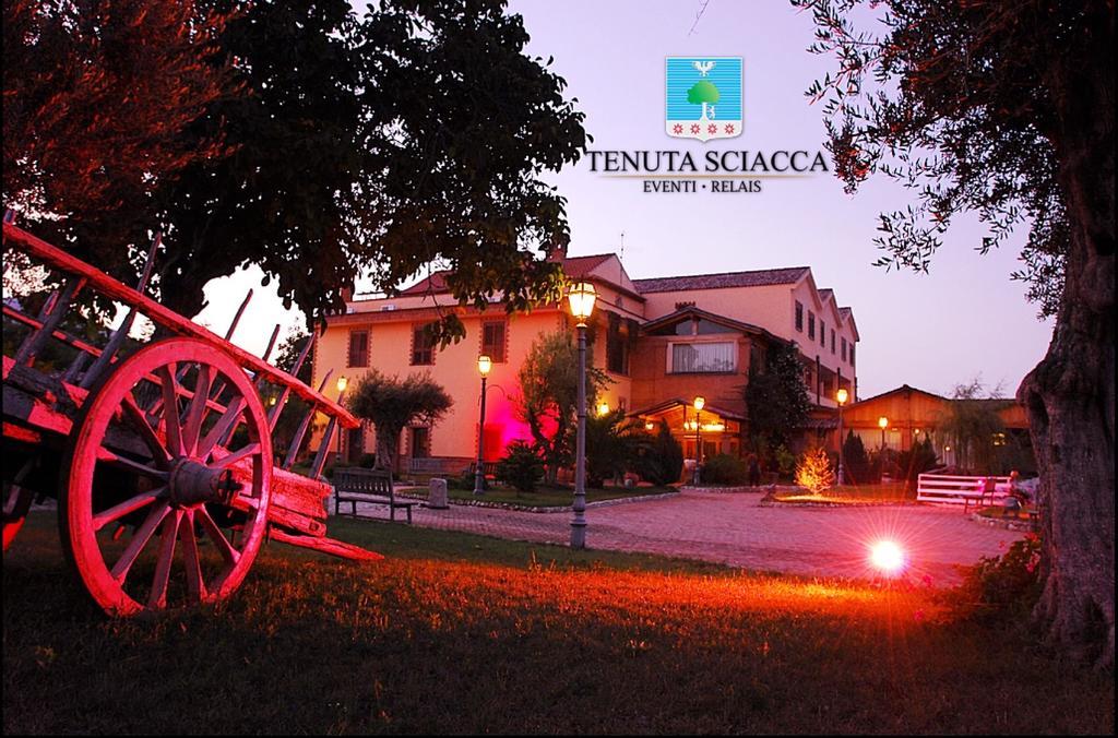 Tenuta Sciacca Villa Falciano del Massico Bagian luar foto