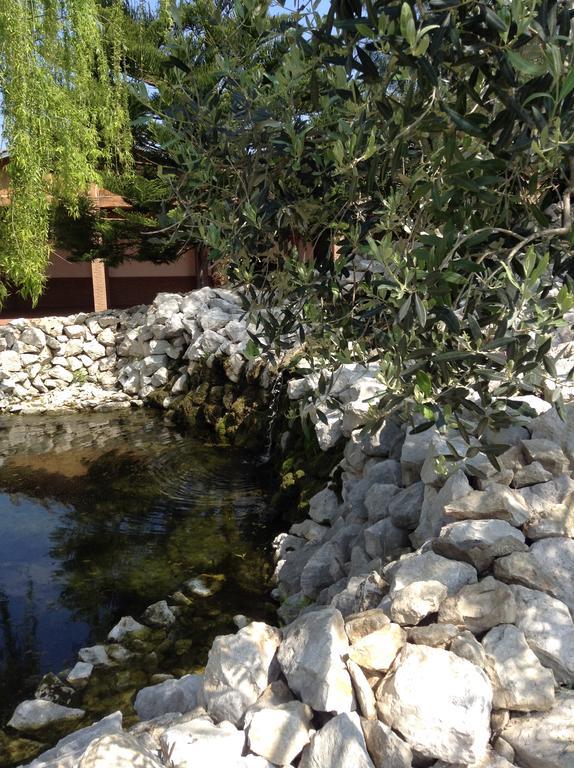 Tenuta Sciacca Villa Falciano del Massico Bagian luar foto