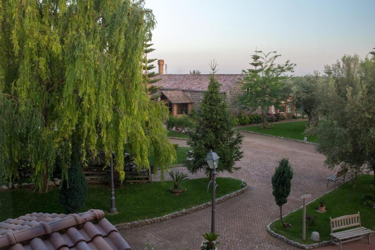 Tenuta Sciacca Villa Falciano del Massico Bagian luar foto